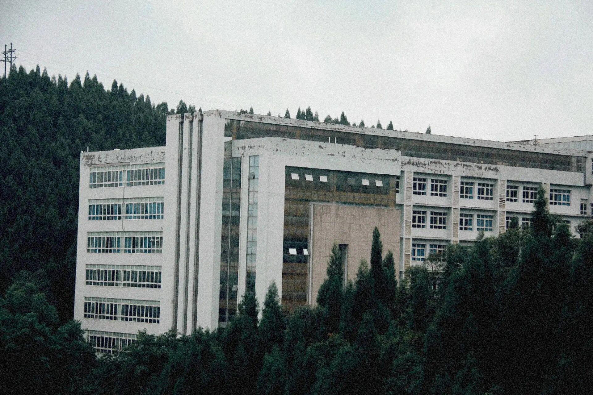 匠心育才铸未来，欢迎重庆考生报考重庆工贸职业技术学院